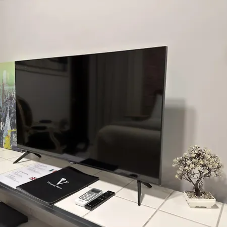 Vi Luxury 招待所